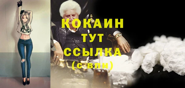 таблы Богородицк