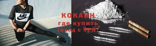 таблы Богородицк