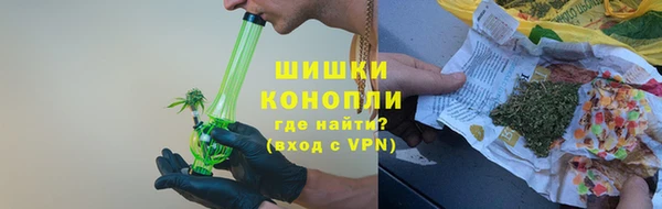 индика Белоозёрский