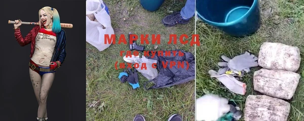 таблы Богородицк