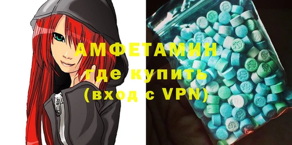 таблы Богородицк
