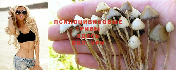 дмт Белокуриха