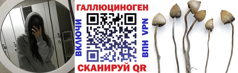 Галлюциногенные грибы Psilocybine cubensis  Краснокамск 